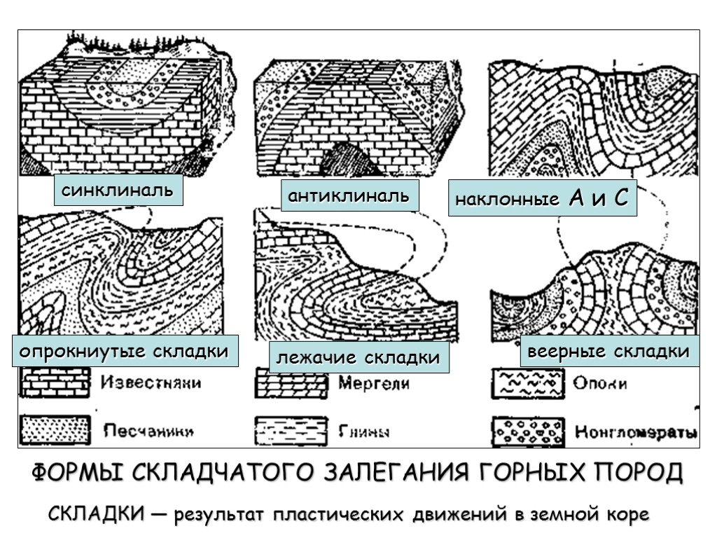 синклиналь антиклиналь наклонные А и С опрокниутые складки лежачие складки веерные складки ФОРМЫ СКЛАДЧАТОГО